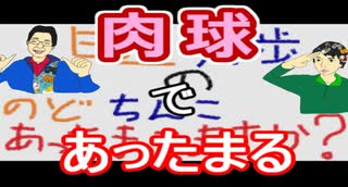 【ラジオ】日進月歩ののどちんこあったまってますか？～肉球は犬派？ネコ派？～