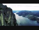 Norwegian Forest
