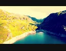 Norwegian Forest