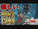 【スカイウォードソードHD】大空と大地とはじまりの物語＃６【ゼルダの伝説】