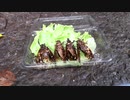 セ ミ の 美 味 し い 食 べ 方 mp4