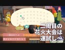【あつまれ どうぶつの森】　花火大会2021第二幕　くじ引き40連したら何がどれだけ当たるのか試してみたら～