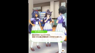 【ウマ娘会話集】ホームシックの子が心配なヒシアマ姉さん【ヒシアマゾン×ナリタブライアン×フジキセキ】