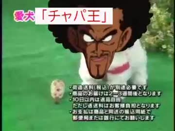 愛犬ロボ「チャパ王」