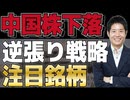 【中国株暴落】逆張りのチャンス？下落要因とこれからの中国投資戦略。注目銘柄も紹介