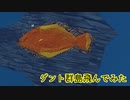 グント群島飛行