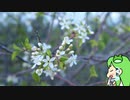 KRNBRYバム　その1