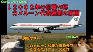 迷航空会社列伝「フラッグキャリアだけどフリーダム」カメルーン航空