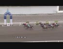 2021年8月9日高知競馬4R ヤングジョッキーズＴＲ高知 第１戦(C3-2組) オクシー