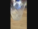 スキスキ絶頂症　歌ってみた
