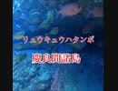 リュウキュウハタンポの群れ・慶良間諸島