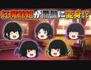 【ゆっくり茶番】全員黒髪になった紅魔館組