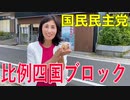 【比例四国ブロック・国民民主党】ふりかえり・「京都市長選挙2020から地方議会を考える」【衆議院選挙愛媛県2区】
