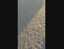 2021/08/10　影を撮ってみた