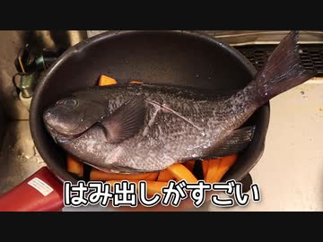 にんじんとメジナ クロ グレ の煮付け ニコニコ動画検索info 動画詳細検索