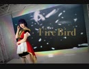 【magi☆stral】FIRE BIRD【踊ってみた】