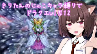 きりたんのじゃこキャラ縛りでドラクエV！＃12