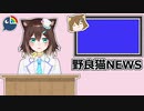 新番組？野良猫NEWS【にじさんじ切り抜き】