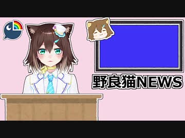 新番組？野良猫NEWS【にじさんじ切り抜き】