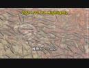 0723B【新組！カルガモ親子の雛鳥かわいい】ホバリング捕食ハクセキレイが縄張り争い。猛暑で避暑地。稚魚の群れ。鶴見川水系恩田川でコンデジ野鳥撮影。　#身近な生き物語　#カルガモ親子　#ハクセキレイ