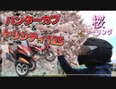 【ゆっくり車載】夏だから桜見て涼しくなろうぜ！【ツーリング】
