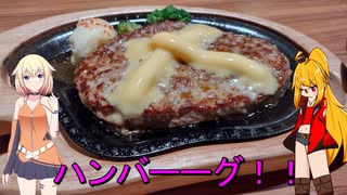 サンバーで行く！びっくりドンキー♪