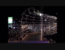 2017年度 磐田駅北口広場のイルミネーションのトンネル（右回り） 2017/11/04