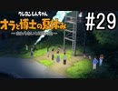 オラ夏やるゾ 実況#29