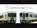 キハ110系八高線 車内散策録