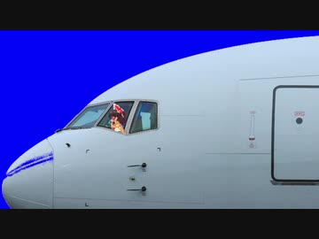 飛行機に乗るBNKRG姉貴BB