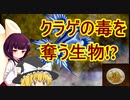 [クラゲの毒を奪う生物]VOICEROID毒性生物解説