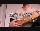 ギターを弾けない男による魔法の絨毯　歌ってみた【初投稿】