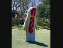 Hotdog Dance
