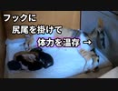 育児中の母猫が居なくなったので探すと…「たまには赤ちゃんと離れたい時があるわぁ」【生後3日目-3 五匹の子猫】