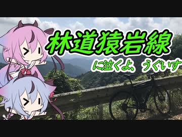 【ロードバイク車載】林道猿岩線に泣くよ、うぐいす【鳴花ヒメ・ミコト】