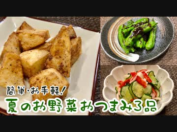 【一人晩酌】野菜で作る夏のおつまみ3品