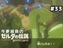 【ゼルダの伝説ブレスオブザワイルド】この人がガノン倒せばいいのでは？【実況プレイ】#33
