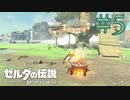 【女性実況】＃5雪地の川は入ったらあかんよお【ゼルダの伝説 ブレス オブ ザ ワイルド】