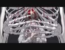 低音女子がシカバネーゼ歌ってみた