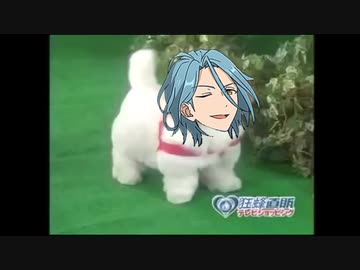 愛犬ロボ「HiMERU」