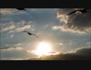 【オリジナル曲】追い風