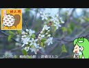 KRNBRYバム　その4