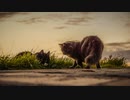 無料音楽素材（明るい・陽気）映像、オープニング、実況などのBGMに♪