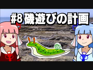 【琴葉姉妹の磯遊び】#8磯遊び講座・磯遊びの計画【VOICEROID解説】