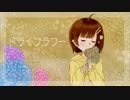 ドライフラワー 【歌ってみました：尼猫】