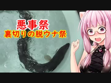 【悪事祭】裏切りの脱ウナ祭⁉やっぱりウナギは最高だぜ【茜ちゃん七輪飲み】