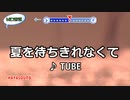 夏を待ちきれなくて TUBE スタンダードカラオケ(リアル風演奏)