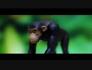 【初投稿】暖かい生き物 / ピコン 歌ってみた【トキワタリ】