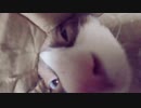 貞子が出てくる井戸を顔面で塞ぐ保護猫【ラグドール】