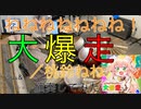 【桃鈴ねね】ねねねねねねねね！大爆走【Drums & Electric Percussion & Flex-A-Tone cover】【#Nene1stAnniversary】